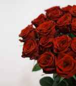 Raudonos rožės