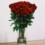 Skintos raudonos rožės