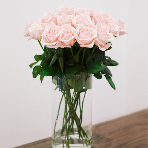 Švelnios rožinės spalvos rožės