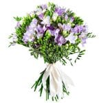 Baltai violetinė frezijų puokštė
