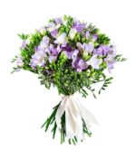 Baltai violetinė frezijų puokštė