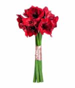 Raudonų amarilių puokštė