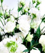 Baltų eustomų puokštė - Image 3