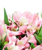 Rausvų alstromerijų puokštė - Image 3