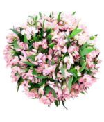 Rausvų alstromerijų puokštė - Image 4