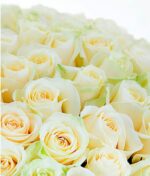 Puokštė 101 balta rožė - Image 2