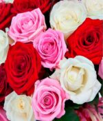 Įvairiaspalvė rožių puokštė - Image 3