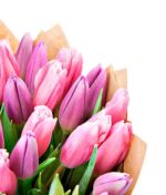 Puokštė "Pavasario tulpės" - Image 3