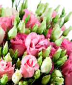 Rausvų eustomų puokštė - Image 3