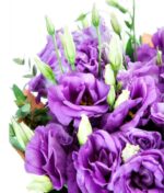 Violetinių eustomų puokštė - Image 3