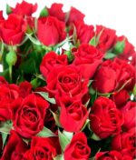 Raudonų krūminių rožių puokštė - Image 3