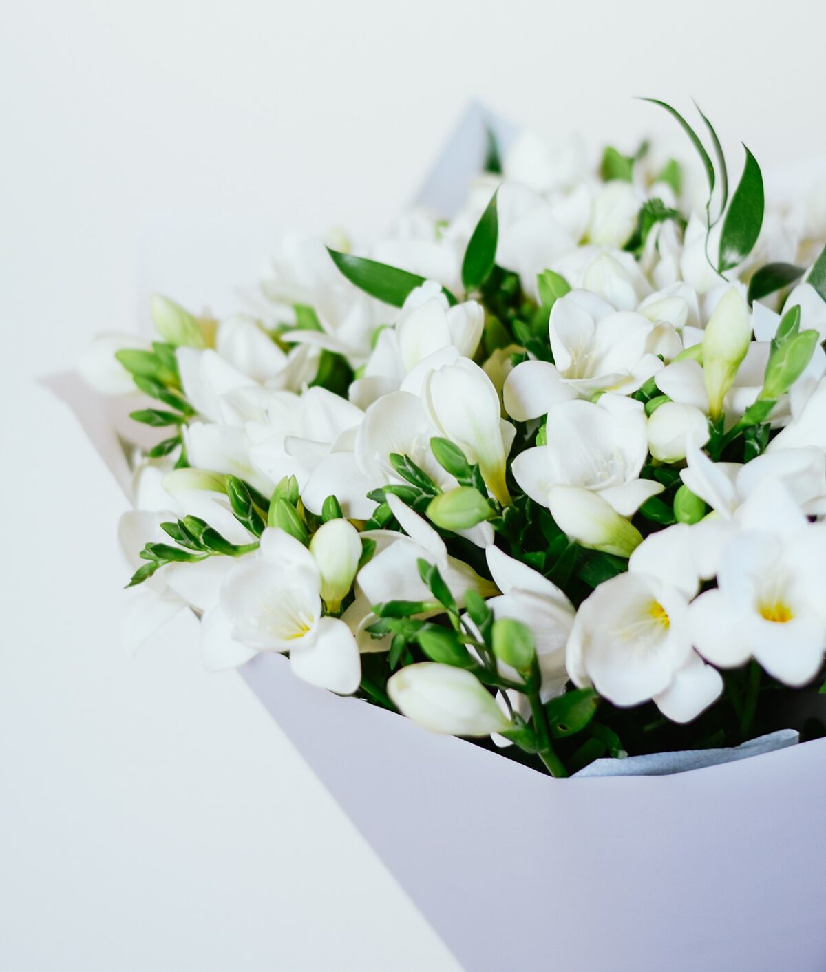 Baltų frezijų puokštė - Image 2