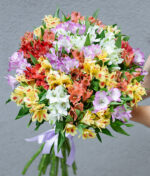 Įvairiaspalvė alstromerijų puokštė