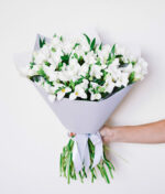 Baltųjų frezijų puokštė