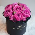 Bijūninių rožių dėžutė misty bubbles