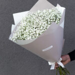 Baltos gubojos puokštė