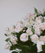 Kreminių krūminių rožių puokštė - Image 2