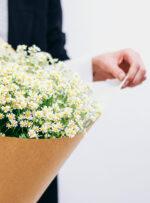 Smulkiažiedžių ramunėlių puokštė