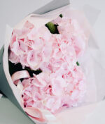 Rausvos hortenzijos puokste