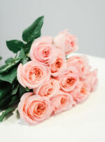 Bijūninės rožės pink expression