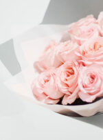 Pink Expression bijūninės rožės