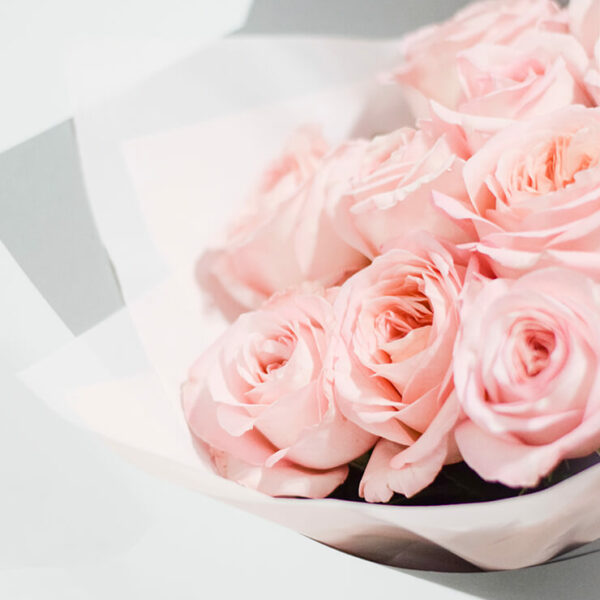 Pink Expression bijūninės rožės