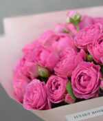 Bijūninės rožės misty bubbles