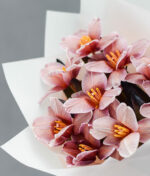 Dažytos tulpės Brownies