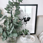 Eukalipto šakelės namams