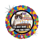 Folinis helio balionas grumpy cat happy birthday