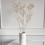 Stabilizuotas balintas ruskusas